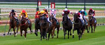 A photo of horses running in a race