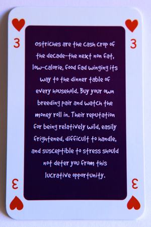 Playing card three of hearts reads: Ostriches are the cash crop of the decade – the next non fat, low calorie food fad winging its way to the table of every household. Buy your own breeding pair and watch the money roll in. Their reputation for being relatively wild, easily frightened, difficult to handle, and susceptible to stress should not deter you from this lucrative opportunity.