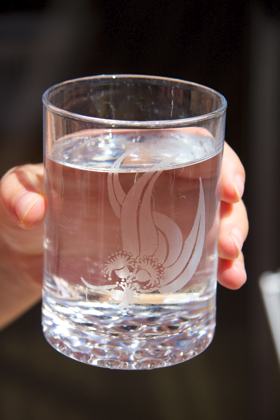 A photo of a glass of water